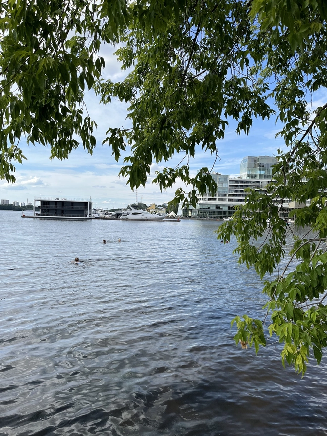 Парк Покровское-Стрешнево