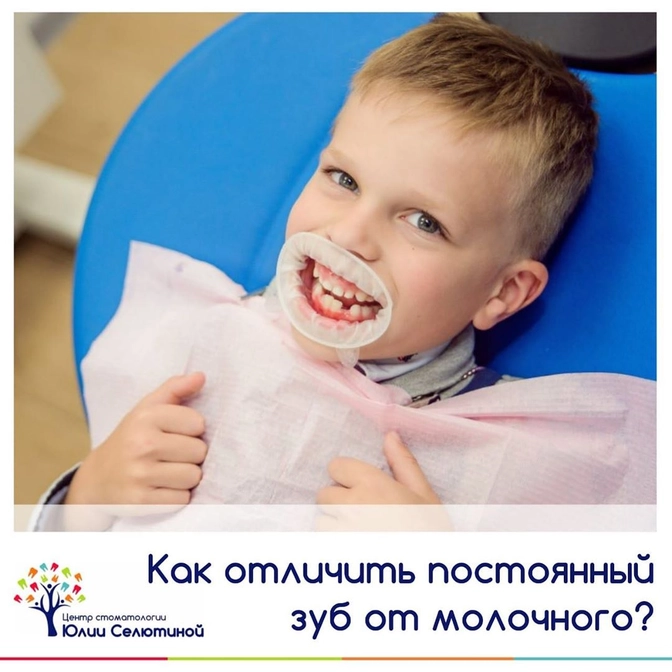 Как отличить постоянный зуб от молочного?