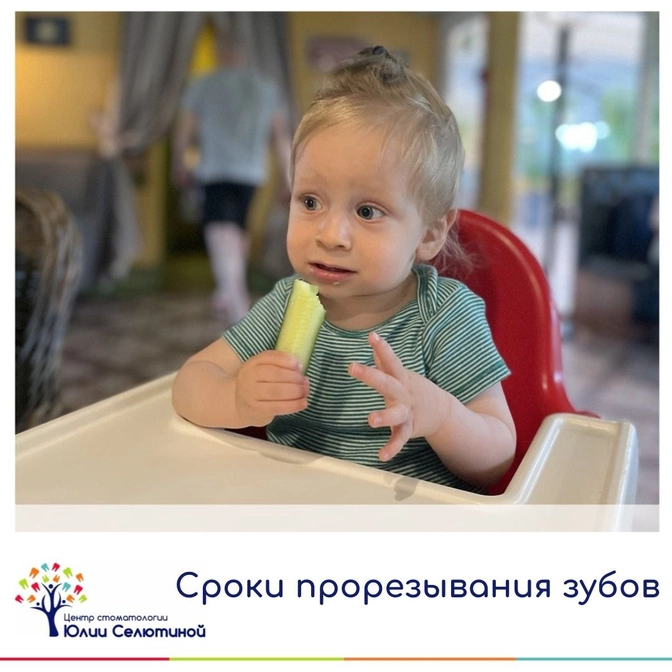 Сроки прорезывания зубов 