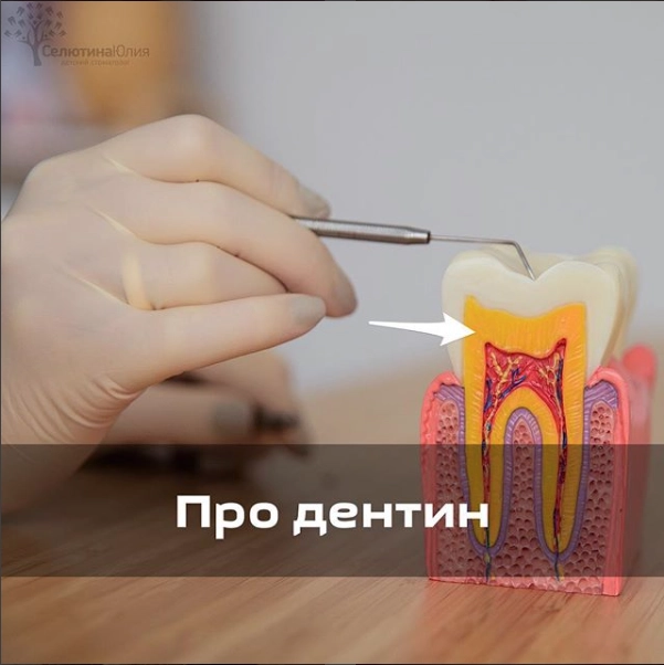 Про дентин