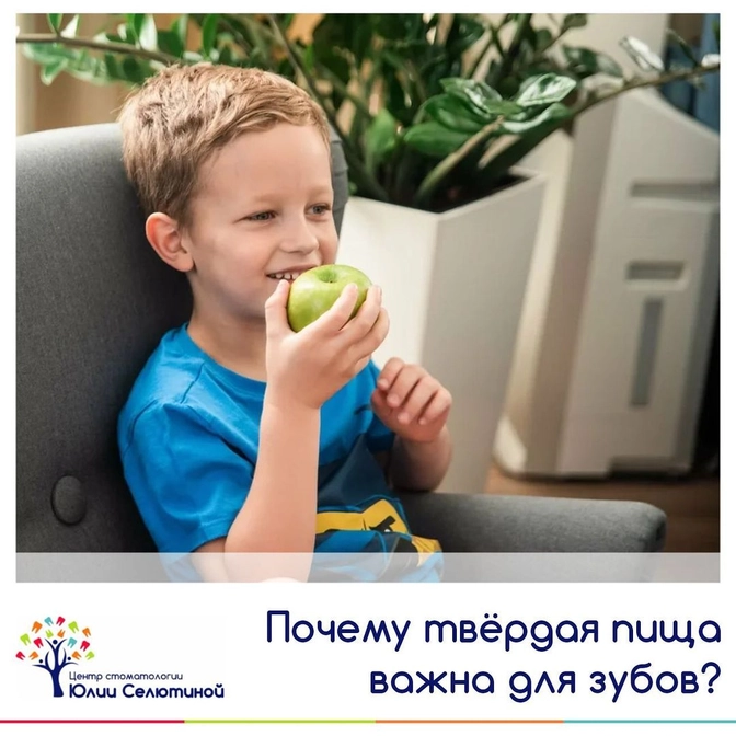 Почему твердая пища важна для зубов? 